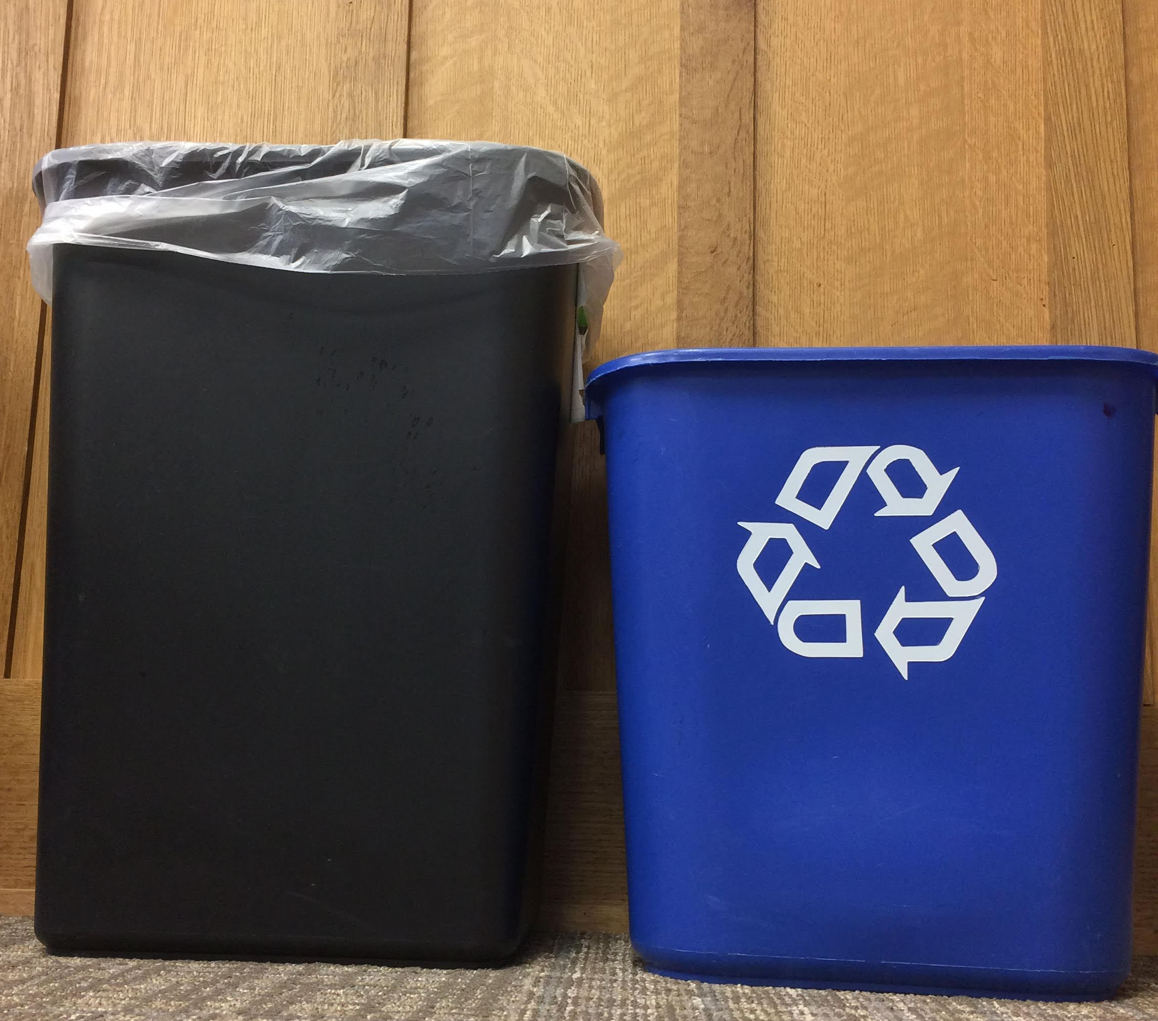 An Investigation Into Recycling Culture at Northwood