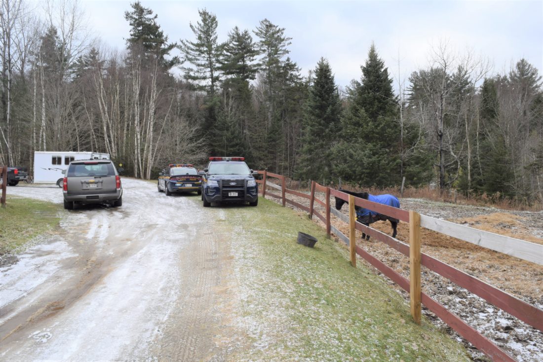Animal Cruelty Charges Halt Sleigh Ride Tradition