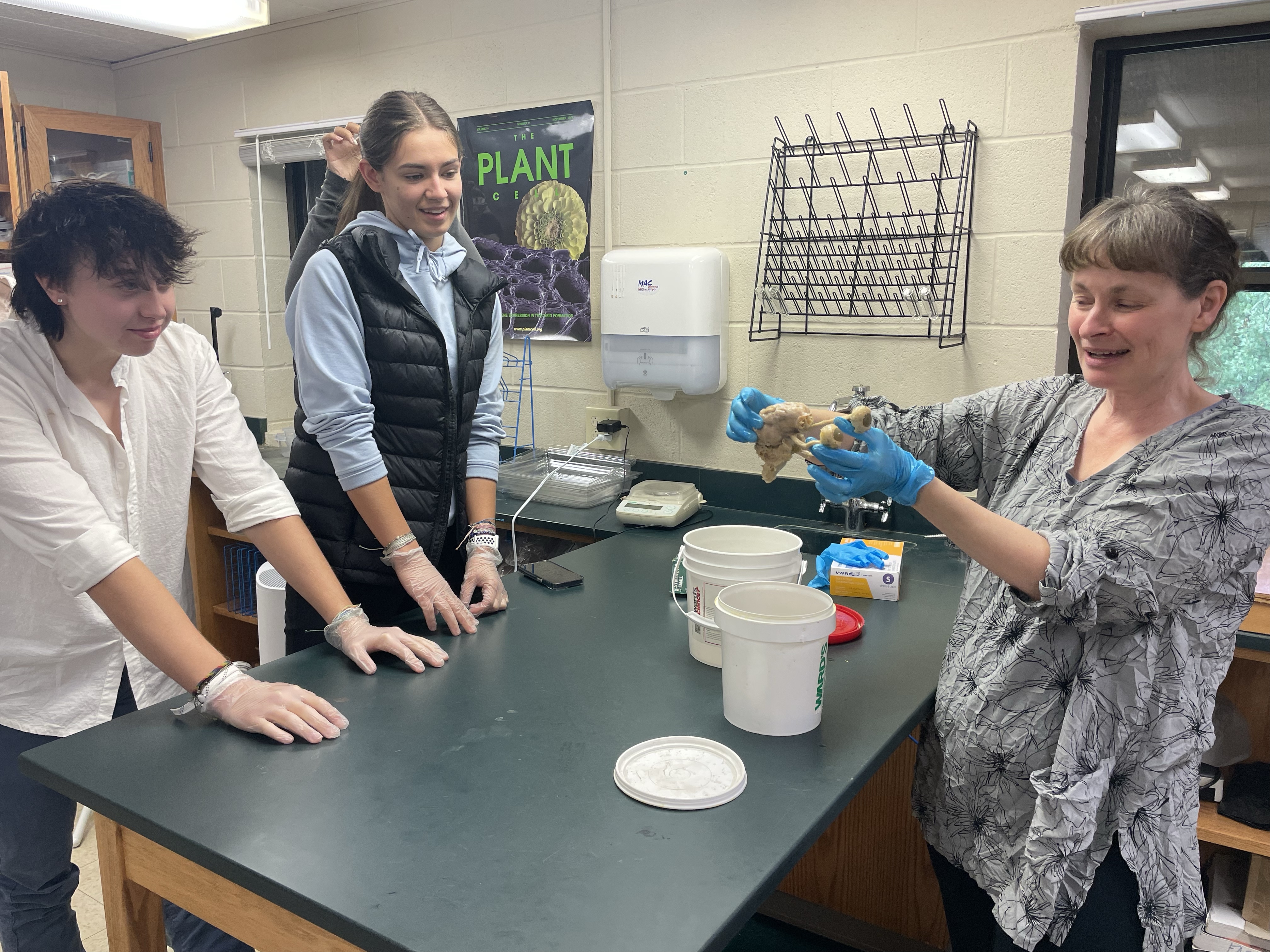 More Time for Science Labs