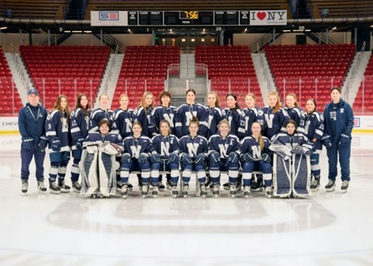 Girls Hockey Season Recap