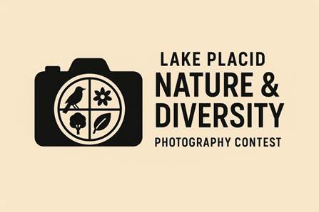 MSC Launches Photo Contest and Chalk-Out