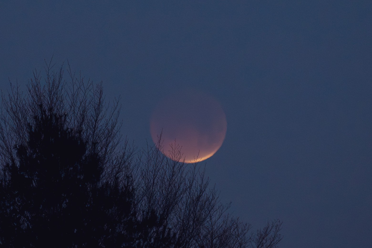 Red Moon Over Lake Placid